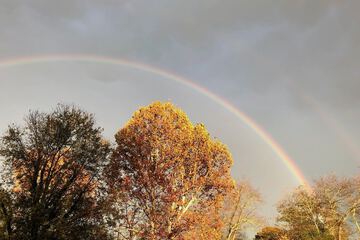 Hotel Exterior 46 of 61