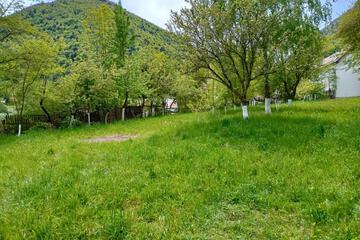 Photo 67