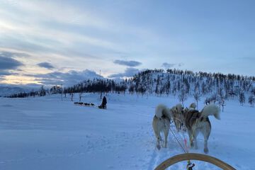 Sledding