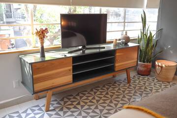 Television