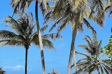 Beach/ocean view