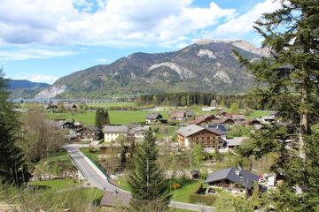 Photo 36