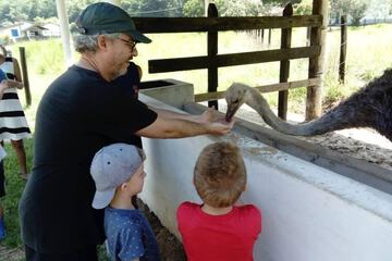 Game viewing