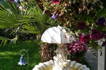 Photo 42