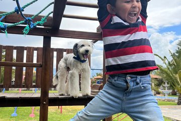 Children's play area - outdoor