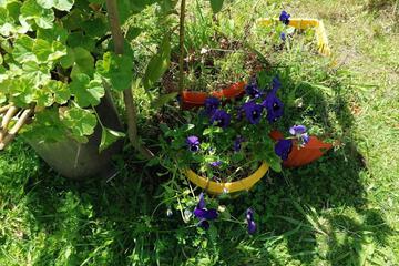 Photo 16