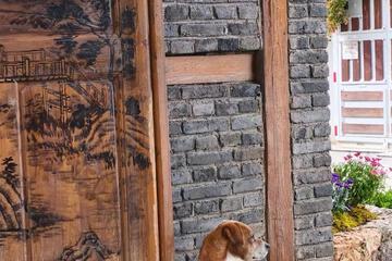 Photo 40