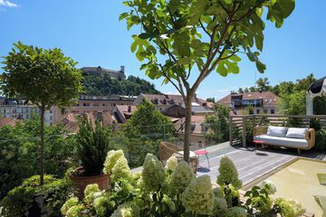 Rooftop terrace