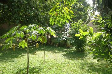 Photo 58