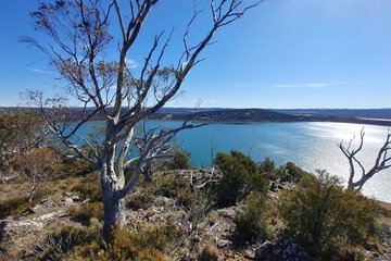 Land view from property