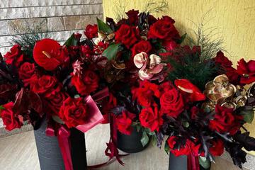 Photo 61