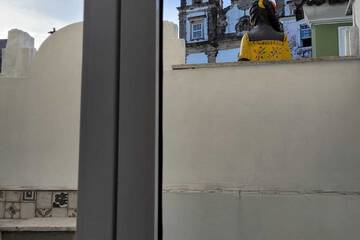 Balcony view