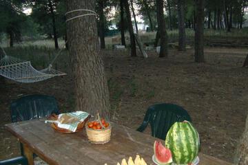 Photo 29