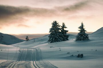 Snow and ski sports