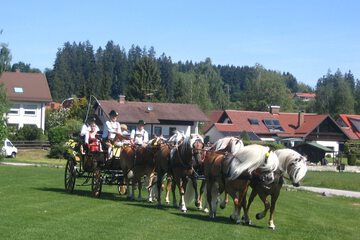Horseback riding