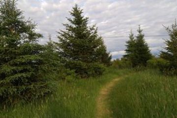 Hiking
