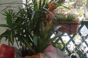Photo 35