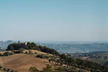 Land view from property