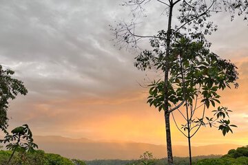 Land view from property
