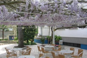 Photo 45