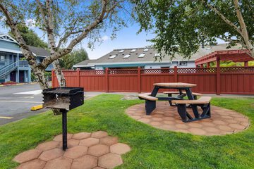 BBQ/picnic area
