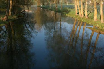 Photo 33