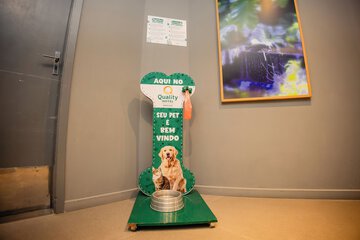 Pet-friendly amenities
