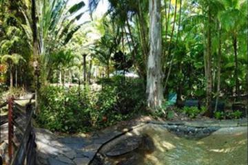 Surrounding environment