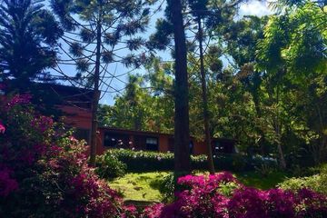 Featured