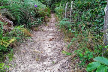 Hiking