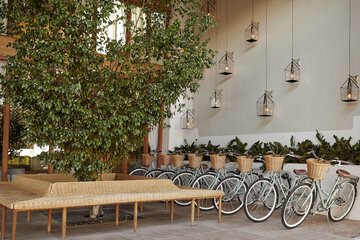 Bicycling