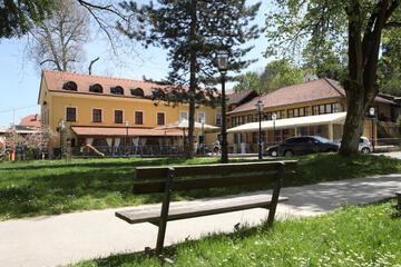 Photo 11
