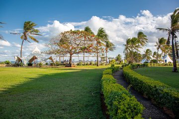 BBQ/picnic area