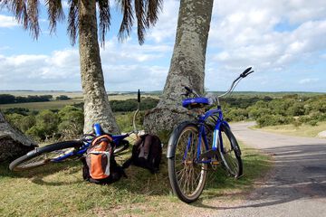 Bicycling