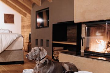 Pet-friendly