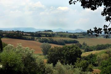 Photo 49