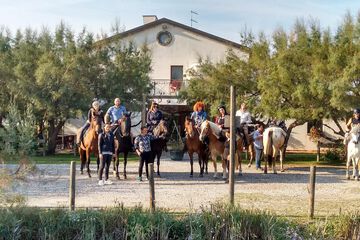 Horseback riding