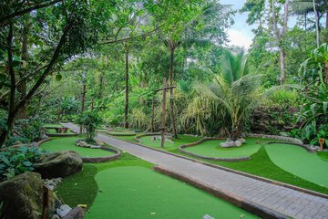 Mini-golf