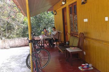 Photo 44