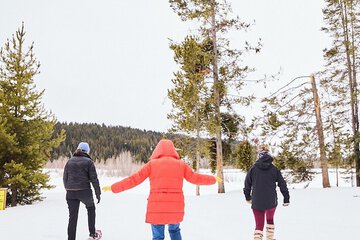 Snowshoeing