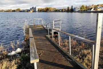 Photo 29