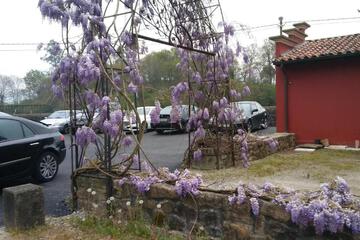 Photo 49