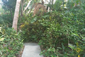 Photo 49