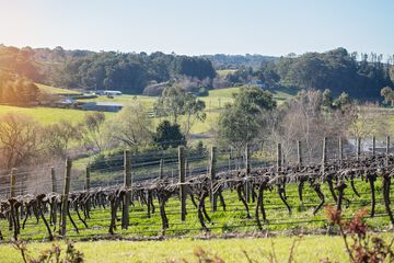 Land view from property