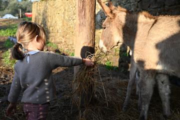 Children's activities
