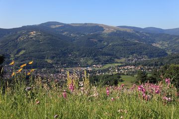 Mountain view