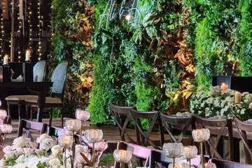 Outdoor wedding area