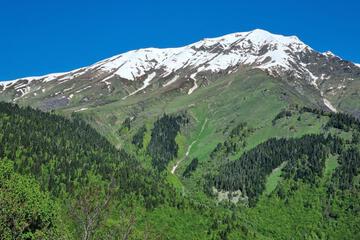 Photo 26
