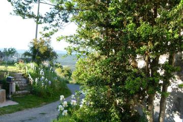 Photo 41