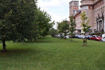 Garden view